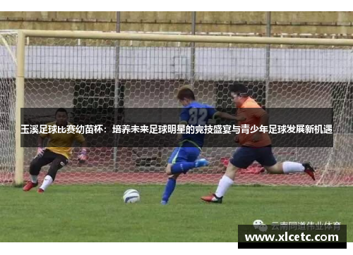 玉溪足球比赛幼苗杯：培养未来足球明星的竞技盛宴与青少年足球发展新机遇